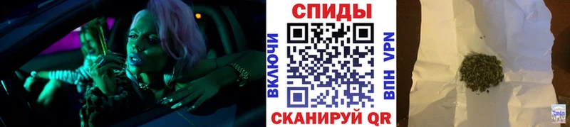 блэк спрут вход  Балашов  БУТИРАТ буратино 
