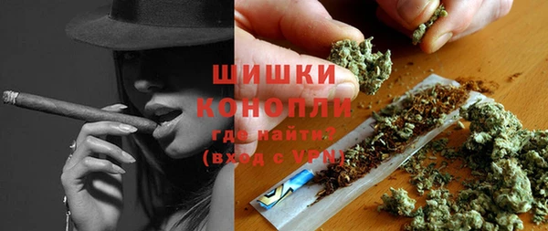 ешки Алзамай