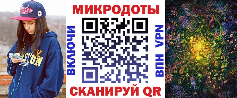 где можно купить   Балашов  Галлюциногенные грибы Cubensis 